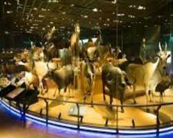 It also has a 360-degree theatre with which visitors can easily understand the history of mankind. It seems that we are traveling in the past world an